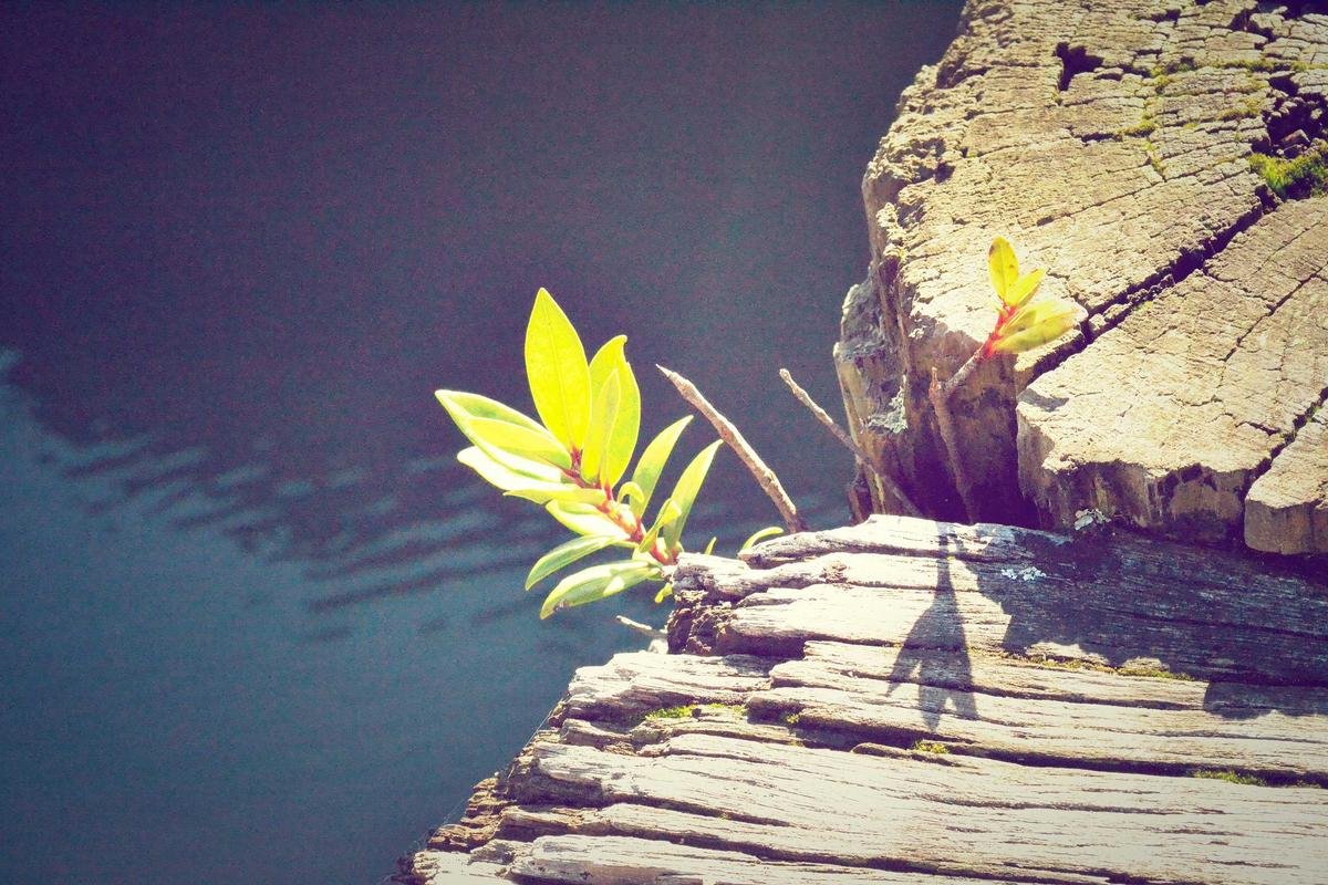 4 Ways To Build Your Self Confidence