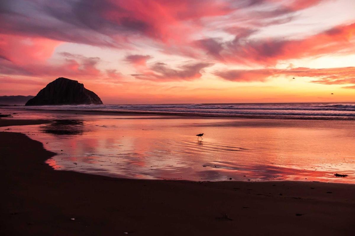 How To Achieve Success in Your Life Using These 3 Principles